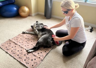 Cold Laser Treatment for Dogs