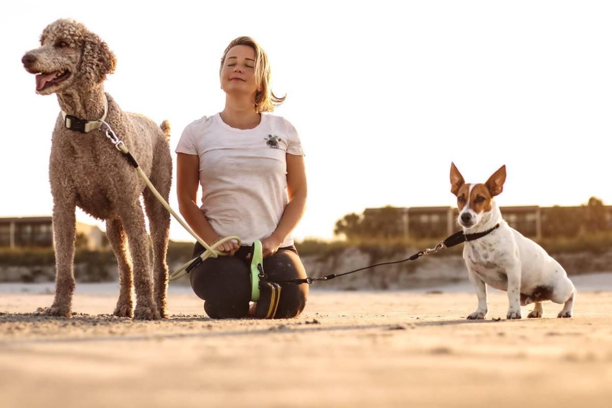 Dogs beach relax