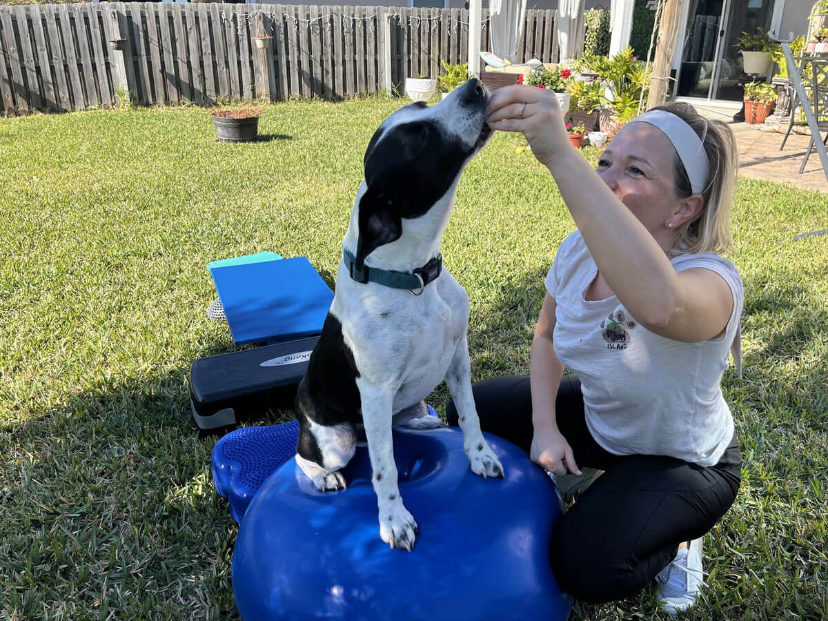 Dog fitness Florida